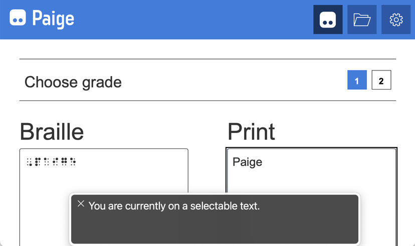 Screenshot of the Paige Connect web app open with the print output window selected.